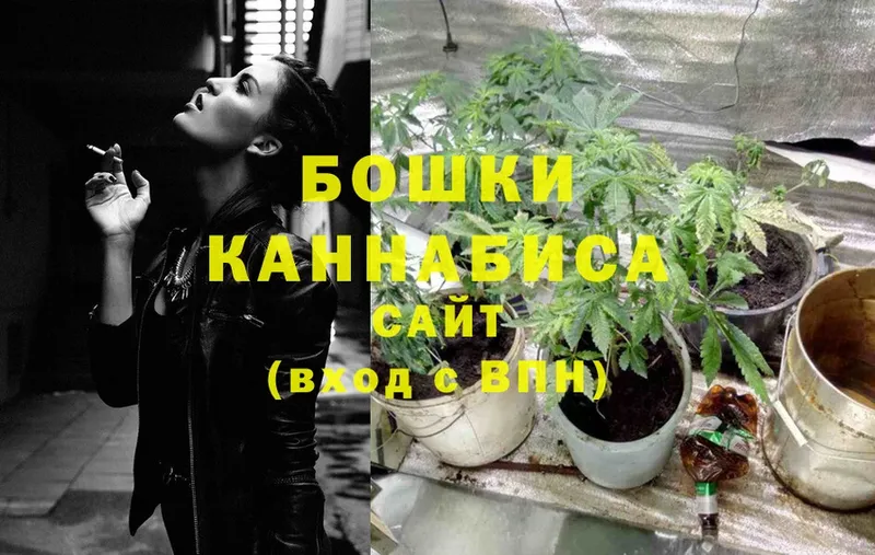 Каннабис SATIVA & INDICA  где купить наркоту  Камешково 